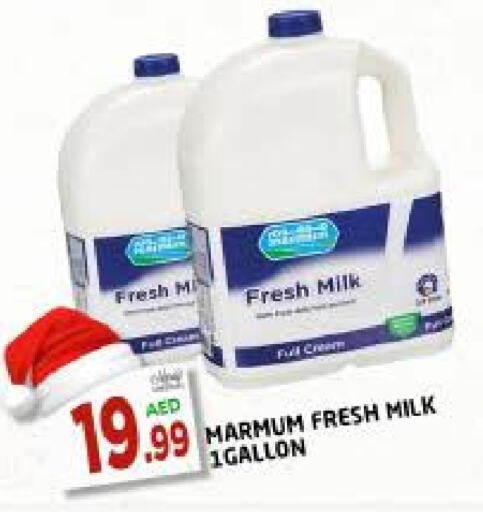  Fresh Milk  in AL MADINA in UAE - Sharjah / Ajman