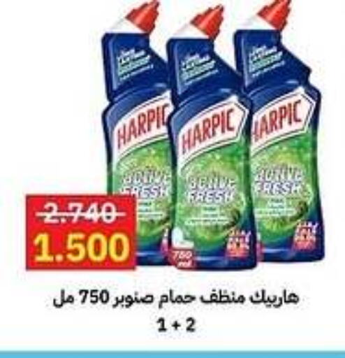  Toilet / Drain Cleaner  in Sabah Al-Ahmad Cooperative Society in Kuwait - Ahmadi Governorate