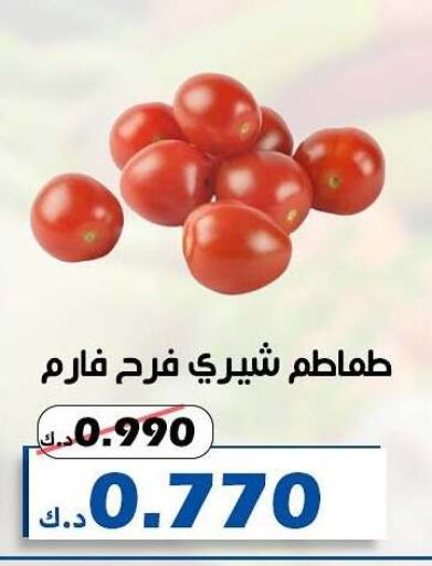  Tomato  in Al Khaldiya Society  in Kuwait - Kuwait City