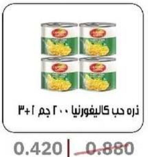 كاليفورنيا جاردن available at جمعية السرة التعاونية in الكويت - محافظة الجهراء