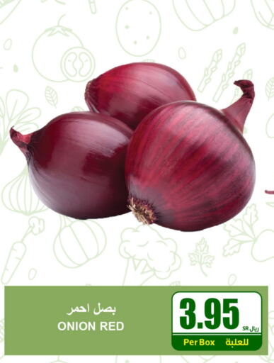  Onion  in A Market in KSA, Saudi Arabia, Saudi - Riyadh