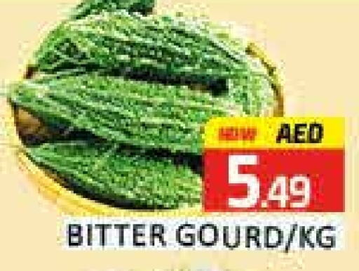  Gourd  in Mango Hypermarket LLC in UAE - Dubai