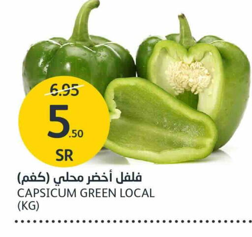 Chilli / Capsicum available at AlJazera Shopping Center in KSA, Saudi Arabia, Saudi - Riyadh