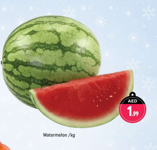  Watermelon  in Shaklan  in UAE - Dubai