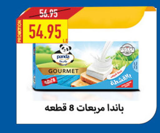 PANDA   in Oscar Grand Stores  in Egypt - Cairo