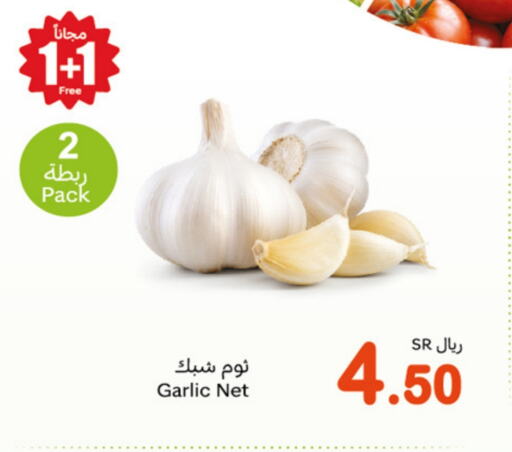 Garlic