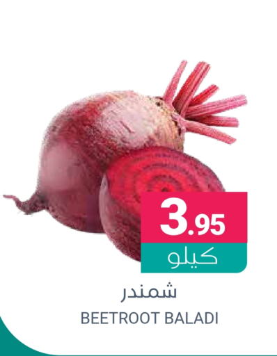  Beetroot  in Muntazah Markets in KSA, Saudi Arabia, Saudi - Dammam