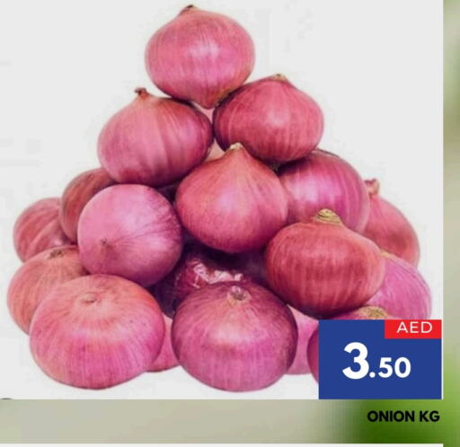  Onion  in AL MADINA in UAE - Sharjah / Ajman