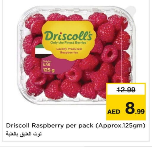  Berries  in Nesto Hypermarket in UAE - Sharjah / Ajman