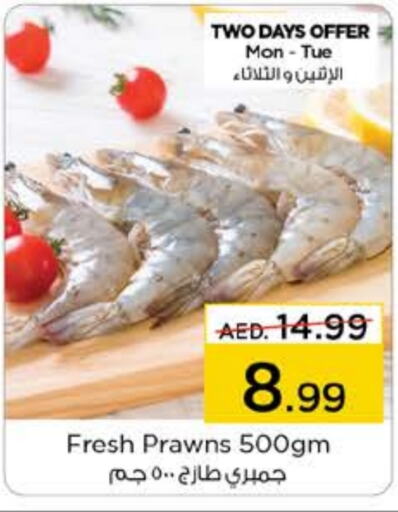    in Nesto Hypermarket in UAE - Sharjah / Ajman