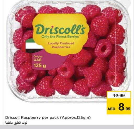  Berries  in Nesto Hypermarket in UAE - Sharjah / Ajman