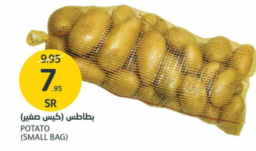 Potato available at AlJazera Shopping Center in KSA, Saudi Arabia, Saudi - Riyadh