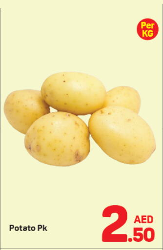  Potato  in Day to Day Department Store in UAE - Dubai