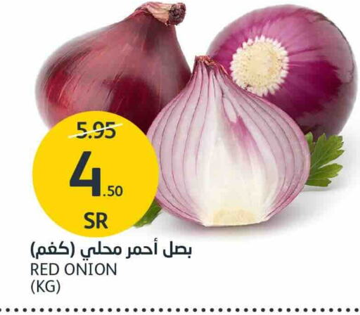 Onion available at AlJazera Shopping Center in KSA, Saudi Arabia, Saudi - Riyadh