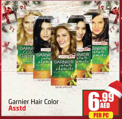 GARNIER Hair Colour available at Delta Centre in UAE - Dubai