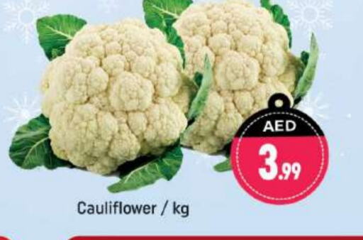  Cauliflower  in Shaklan  in UAE - Dubai