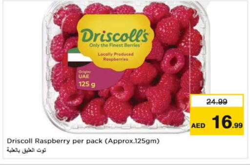  Berries  in Nesto Hypermarket in UAE - Dubai