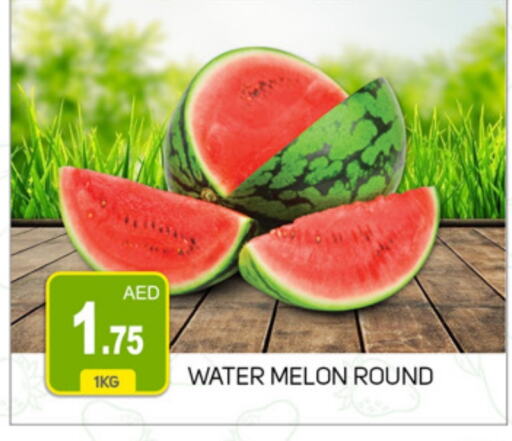  Watermelon  in TALAL MARKET in UAE - Dubai