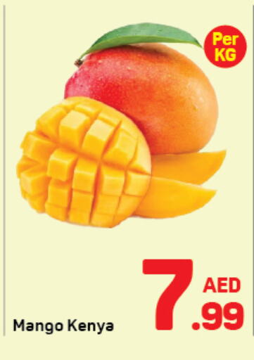  Mangoes  in Day to Day Department Store in UAE - Dubai