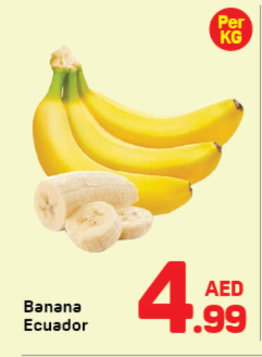  Banana  in Day to Day Department Store in UAE - Dubai