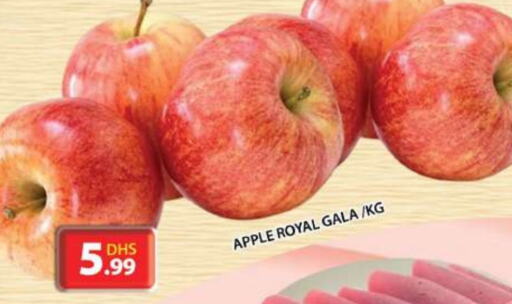  Apples  in Grand Hyper Market in UAE - Sharjah / Ajman