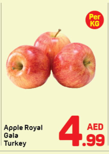  Apples  in Day to Day Department Store in UAE - Dubai