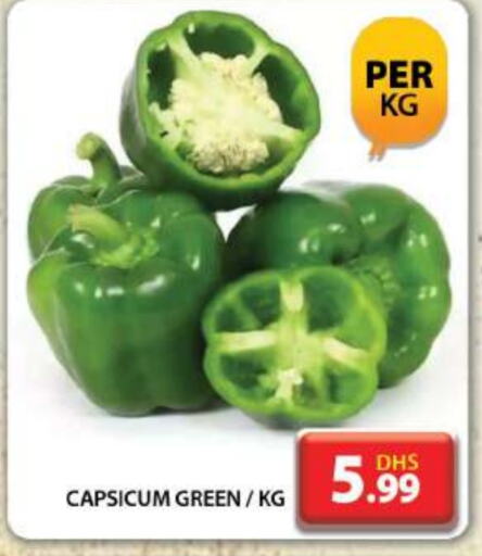  Chilli / Capsicum  in Grand Hyper Market in UAE - Dubai