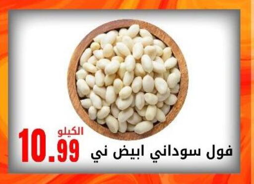 available at Bin Afif Bazaar in KSA, Saudi Arabia, Saudi - Dammam