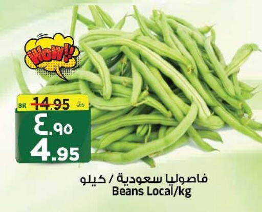 فاصوليا available at المدينة هايبرماركت in مملكة العربية السعودية, السعودية, سعودية - الرياض