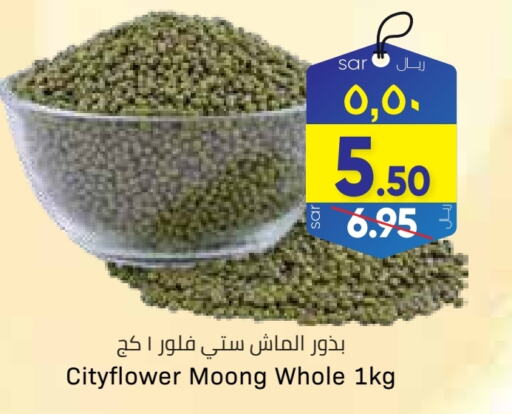 available at ستي فلاور in مملكة العربية السعودية, السعودية, سعودية - الجبيل‎