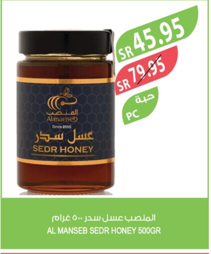  Honey  in Farm  in KSA, Saudi Arabia, Saudi - Jubail