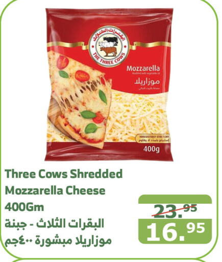  Mozzarella  in Al Raya in KSA, Saudi Arabia, Saudi - Al Bahah