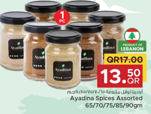 Spices available at Family Food Centre in Qatar - Al-Shahaniya