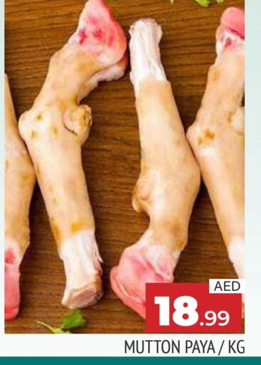 Mutton / Lamb available at AL MADINA in UAE - Sharjah / Ajman