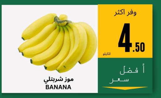 Banana available at اسواق البسمة الخالدة in مملكة العربية السعودية, السعودية, سعودية - خميس مشيط