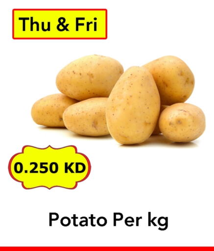 Potato available at Century Bazaar in Kuwait - Ahmadi Governorate