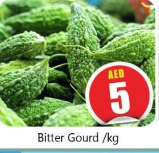 Bitter Gourd available at Souk Al Mubarak Hypermarket in UAE - Sharjah / Ajman