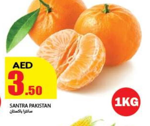 from Pakistan available at  روابي ماركت عجمان in الإمارات العربية المتحدة , الامارات - الشارقة / عجمان