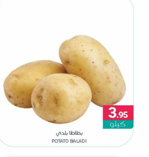  Potato  in Muntazah Markets in KSA, Saudi Arabia, Saudi - Saihat