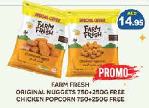 FARM FRESH Chicken Nuggets available at Aswaq Ramez in UAE - Dubai