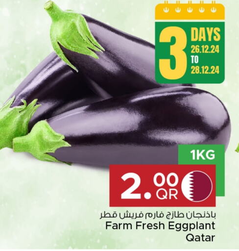 Eggplant from Qatar available at مركز التموين العائلي in قطر - الريان