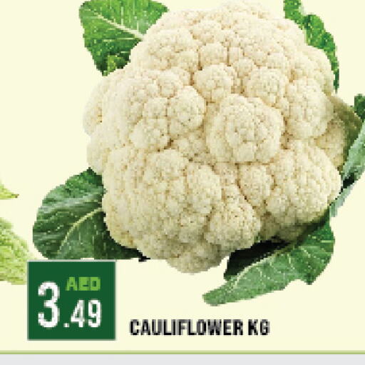 Cauliflower available at أزهر المدينة هايبرماركت in الإمارات العربية المتحدة , الامارات - أبو ظبي