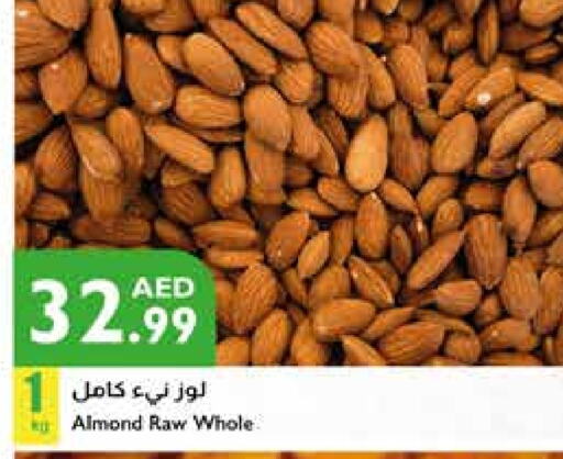 available at Istanbul Supermarket in UAE - Sharjah / Ajman