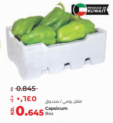 Chilli / Capsicum from Kuwait available at Lulu Hypermarket  in Kuwait - Kuwait City