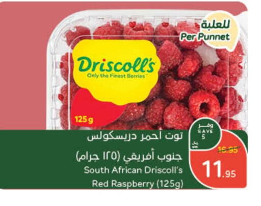  Berries  in Hyper Panda in KSA, Saudi Arabia, Saudi - Hail