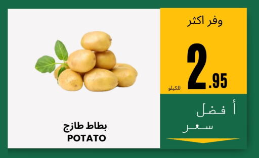 Potato available at Al Basma Al Khalida Markets in KSA, Saudi Arabia, Saudi - Khamis Mushait