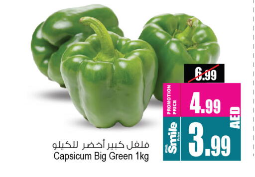 Chilli / Capsicum available at Ansar Gallery in UAE - Dubai