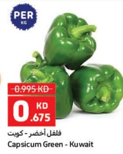 Chilli / Capsicum from Kuwait available at Carrefour in Kuwait - Ahmadi Governorate