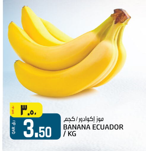 موز from Ecuador available at كنز ميني مارت in قطر - الشحانية