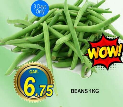 Beans available at Dubai Shopping Center in Qatar - Al Wakra